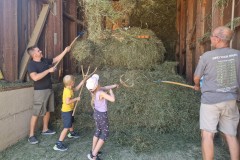 Heuernte mit unseren Gästen