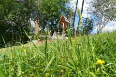 Schlungerhoerndl-Kreuz umgeben von Biodiversitätsflächen