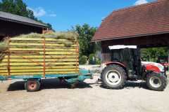 Helfen bei der Heuernte