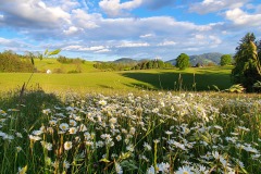 Wanderung entlang der Wild-Wiesen-Runde zum Schauimker Kreiner