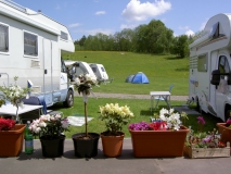 Fruchtbarer Boden am Campingplatz
