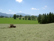 Heuernte auf unserer Bio-Landwirtschaft