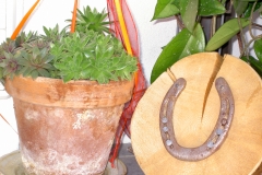 Das Hufeisen bringt Glück zum Ponyhof