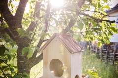 Die Anlagen des Miniponyhofes Wild mit Bio-Ponyhof und Ferienwohnungen, Appartement, Ferienhaus