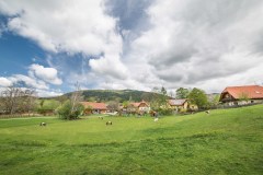 Blick auf die Ferienhäuser des Miniponyhofes