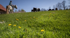 Ausritt in die Natur