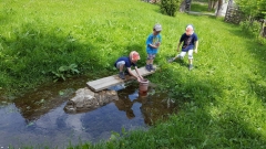 Kleiner Almbach