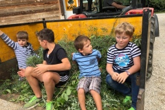 Futterarbeit mit den Kindern