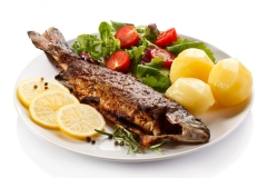 Almenland Fisch