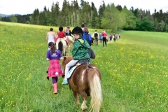 Minipony Ausflug