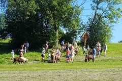 Eine Ponywanderung zum Schlungerhörndl Kreuz