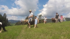 Kinderliebe Ponys