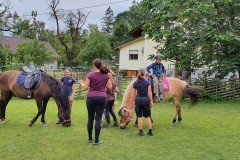 Ponyreiten, Ponyzucht, Ponywandern, Ponykuscheln