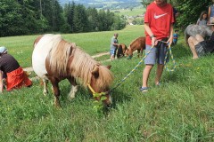 Ponywanderung