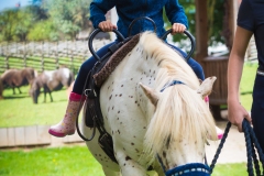 Ponyreiten
