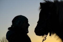 Kuschelpferde Ponies