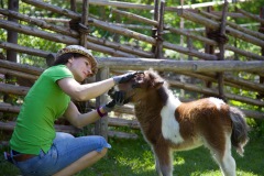 Die Chefin beim Herdencheck