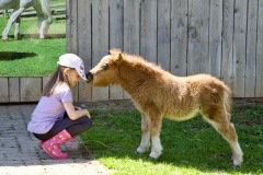 Kinderlieb und kuschelig