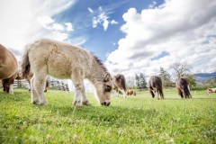 Willkommen im Frühling