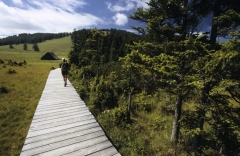 Wandern
