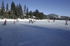 Eislaufen