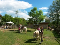 Ponyreiten