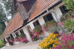 Herbst im Ponystall