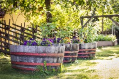 Der Miniponyhof Wild