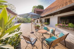 Der Miniponyhof Wild