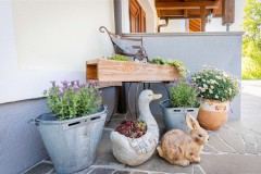 Der Miniponyhof Wild