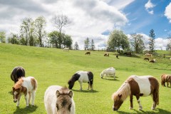 Der Sommer kann kommen