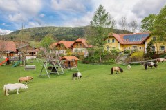 Der Miniponyhof Wild