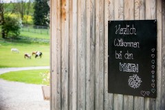 Der Miniponyhof Wild