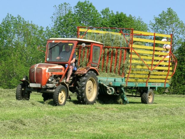 Urlaub am Bauernhof beim Miniponyhof Wild in der Steiermark, Österreich. Reiten, Pferde, Pony, Urlaub in Ferienwohnungen, Appartements, Ferienhaus, Almenland Camping, Campingplatz am Bauernhof