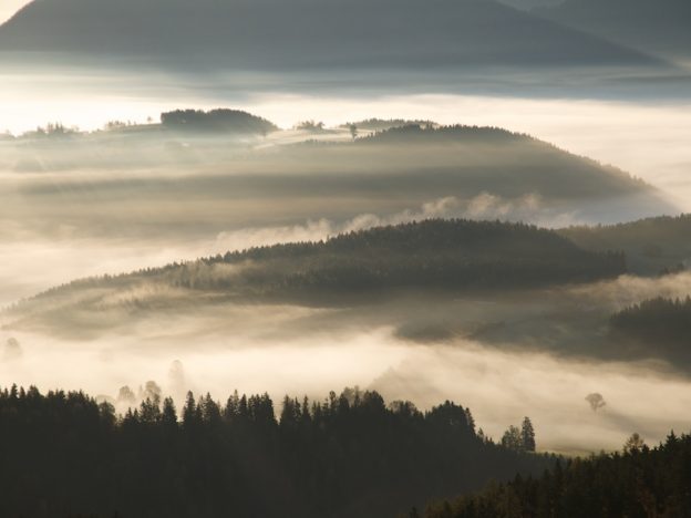 Urlaub am Bauernhof beim Miniponyhof Wild in der Steiermark, Österreich. Reiten, Pferde, Pony, Urlaub in Ferienwohnungen, Appartements, Ferienhaus, Almenland Camping, Campingplatz am Bauernhof