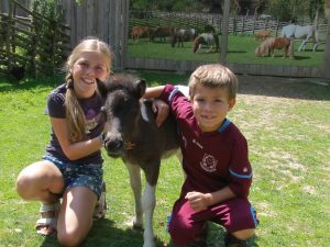 Urlaub am Bauernhof beim Miniponyhof Wild in der Steiermark, Österreich. Reiten, Pferde, Pony, Urlaub in Ferienwohnungen, Appartements, Ferienhaus, Almenland Camping, Campingplatz am Bauernhof