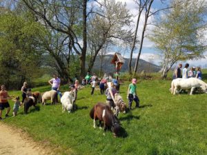 Pony Wanderung Ostern am Miniponyhof